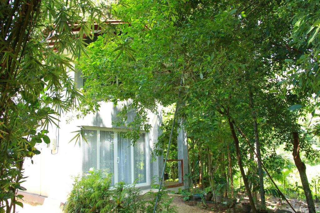 Вілла Executive Residency Retreat Хіккадува Екстер'єр фото