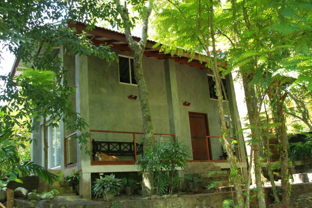 Вілла Executive Residency Retreat Хіккадува Екстер'єр фото